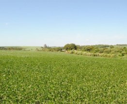 Envases para Quimicos y Agroquímicos